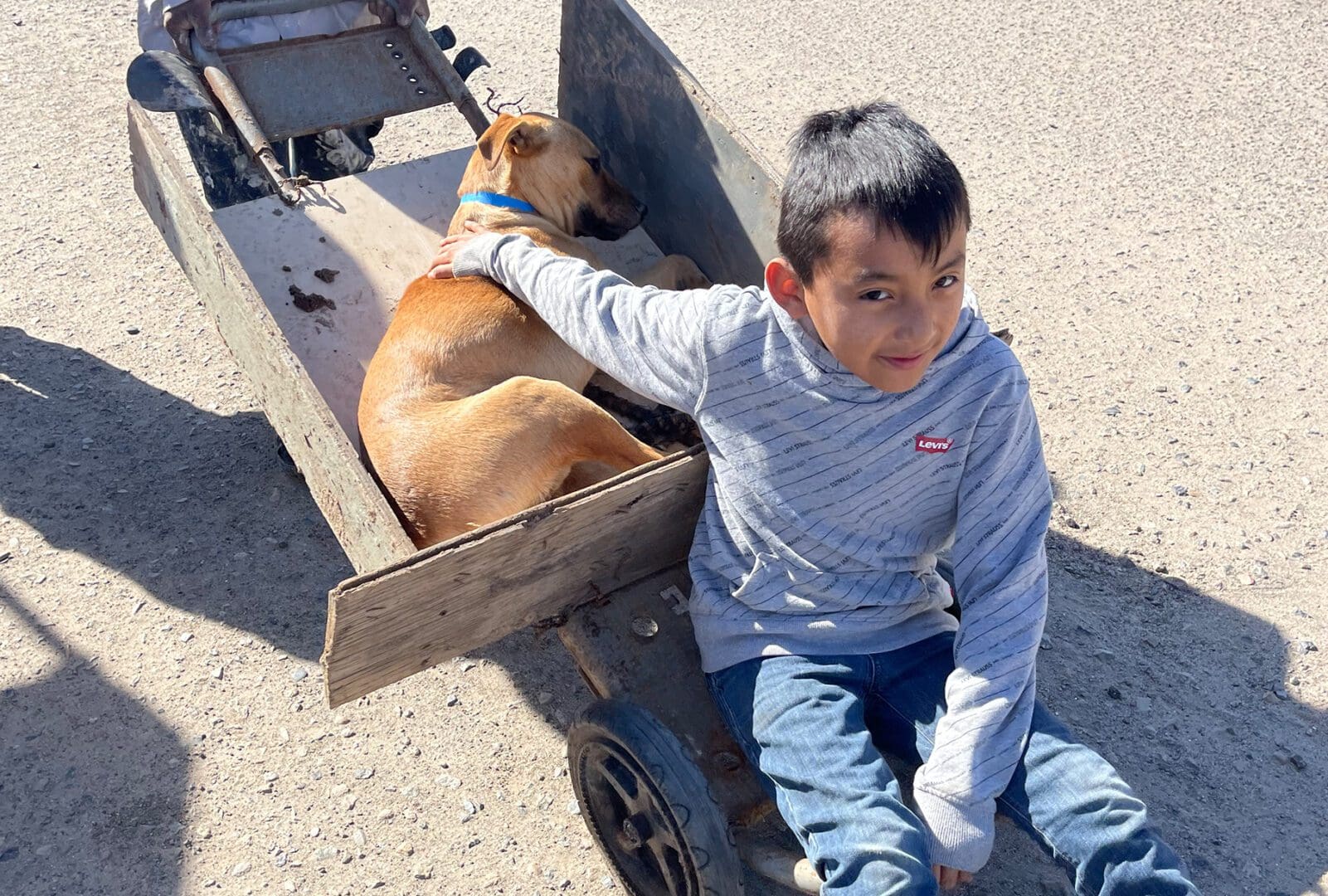 A boy sitting on the ground next to a dog.