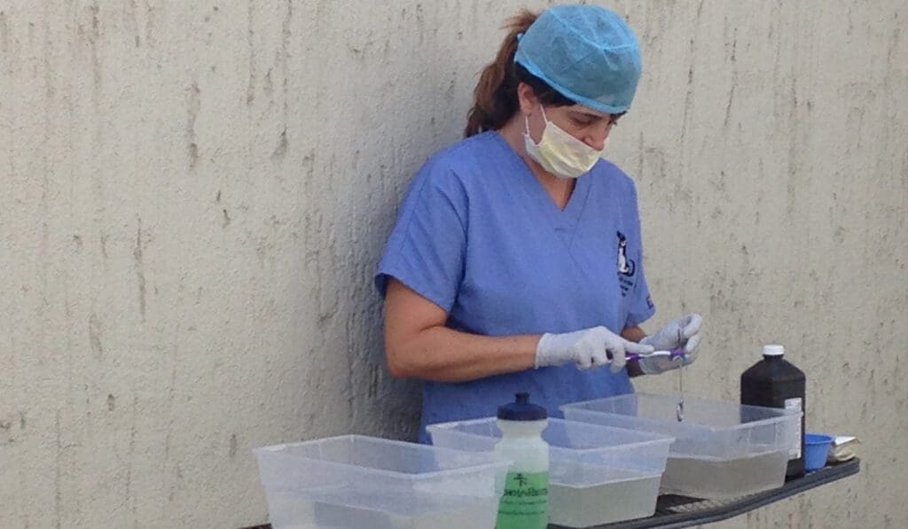 A woman in blue scrubs and a surgical mask.